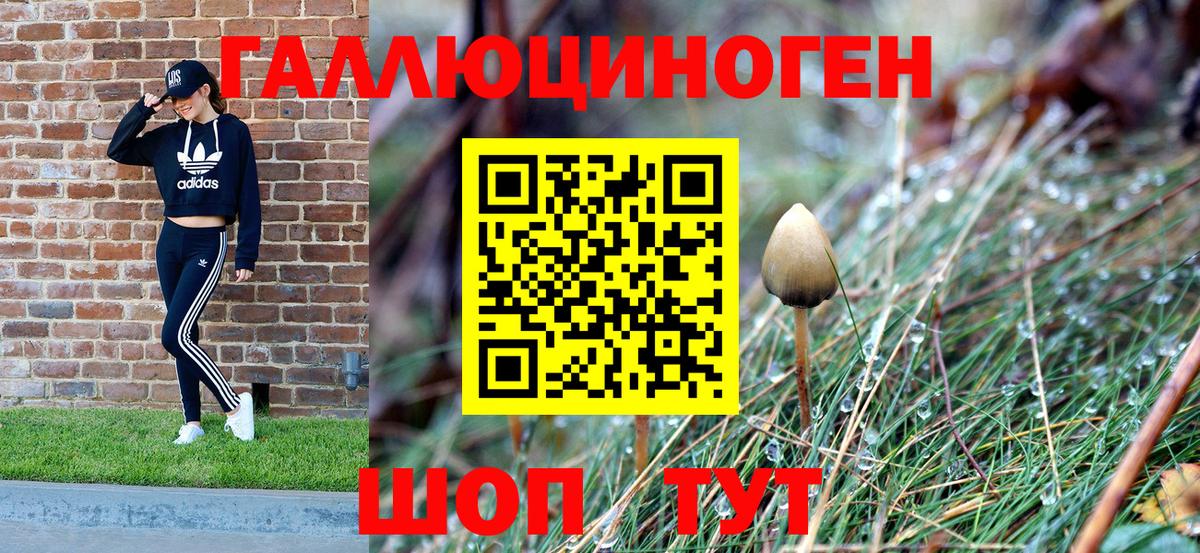 Бор  Галлюциногенные грибы Cubensis  Вход с VPN 